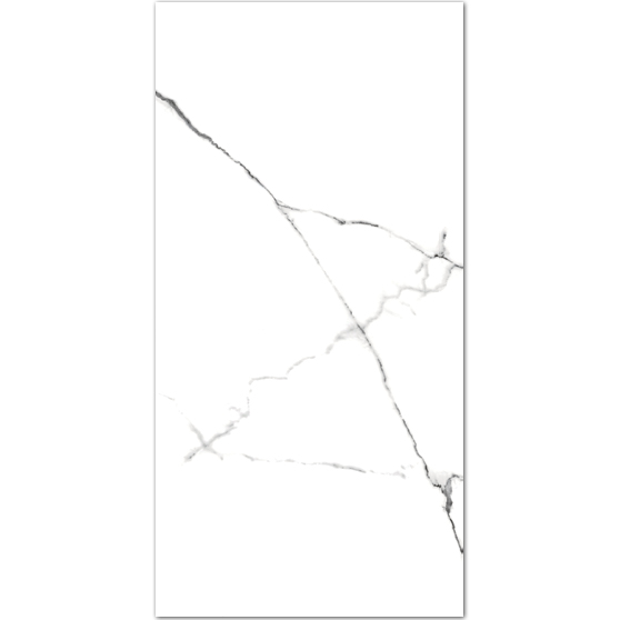 Garuda Arctic Cararra 60x120 (random)